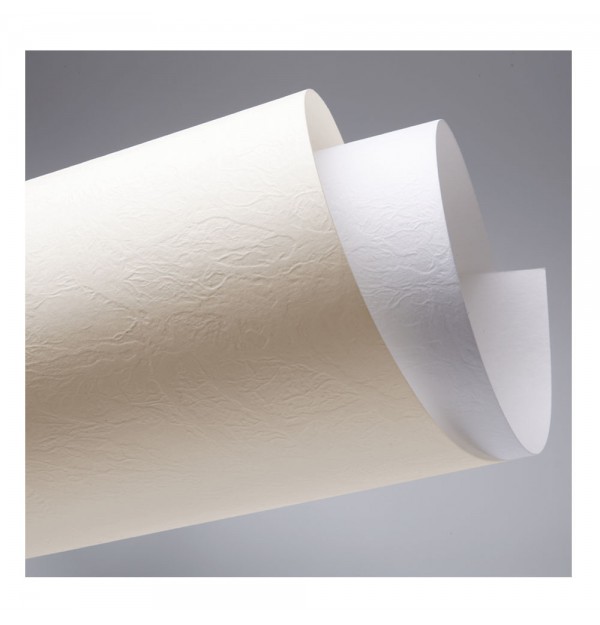 CARTON COLOR SPECIAL ''LEATHER'’ A4, 230 g/mp CARTON COLOR SPECIAL ''LEATHER'’ A4, 230 g/mp